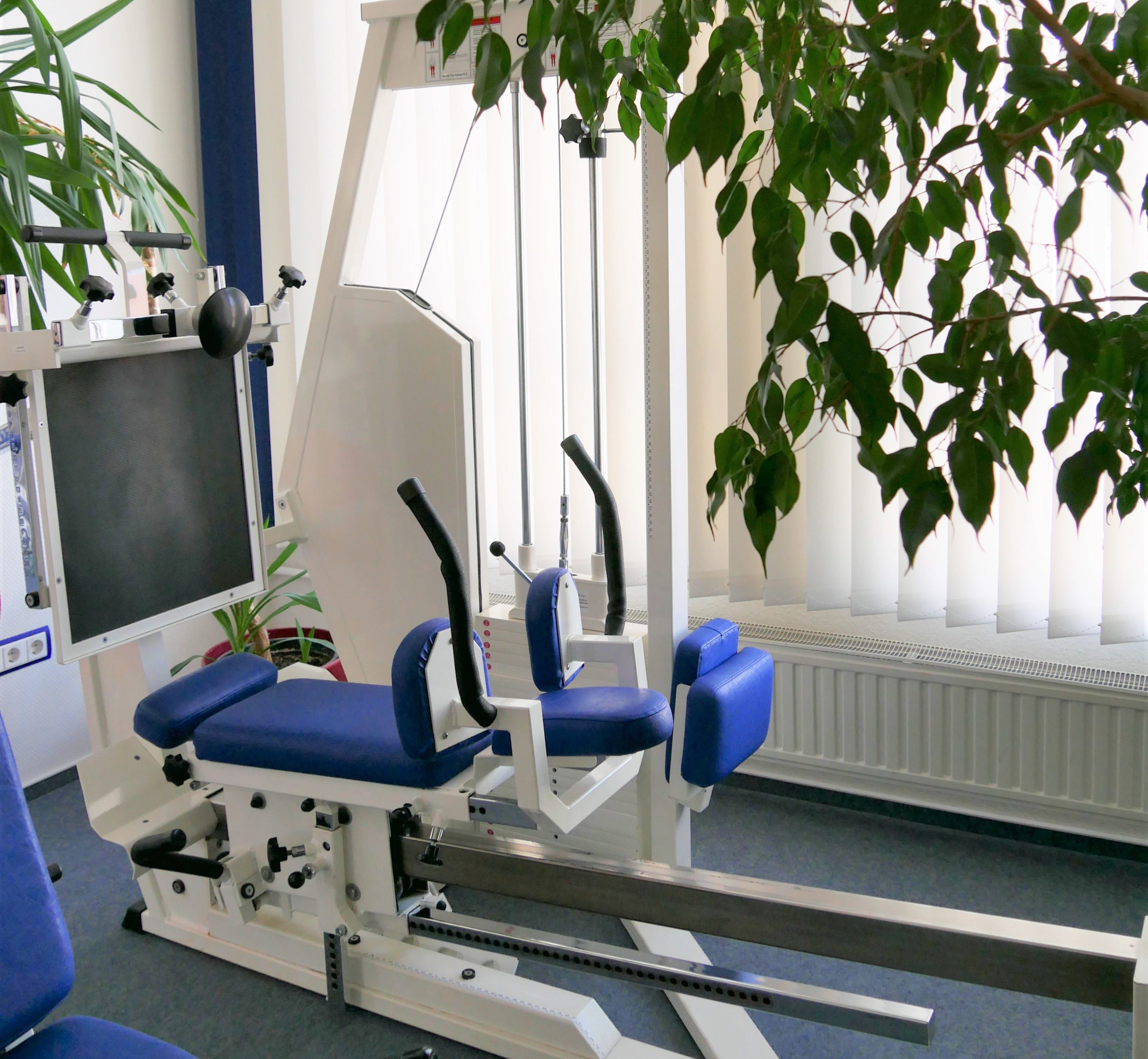 Eine Beinpresse und eine große Pflanze.